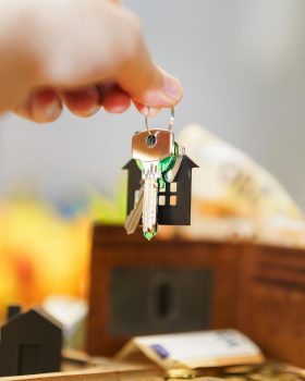 pexels jakubzerdzicki 31221014 scaled.jpg