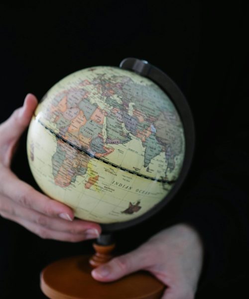 pexels lara jameson 8828738