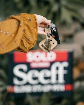 pexels taryn elliott 8549521 scaled.jpg